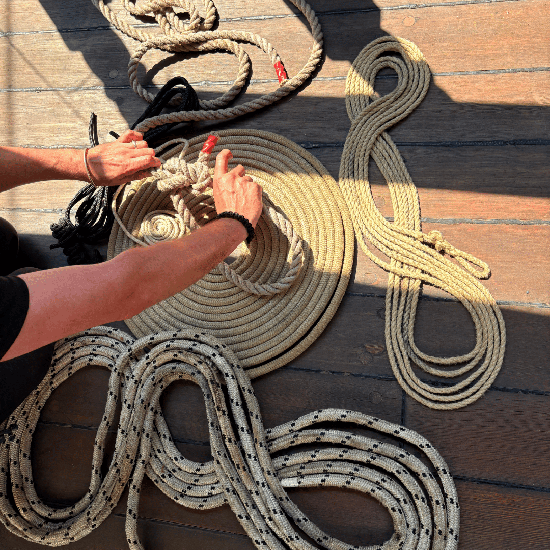 Summer of Survival: A Summer of Adventure Aboard The Golden Hinde