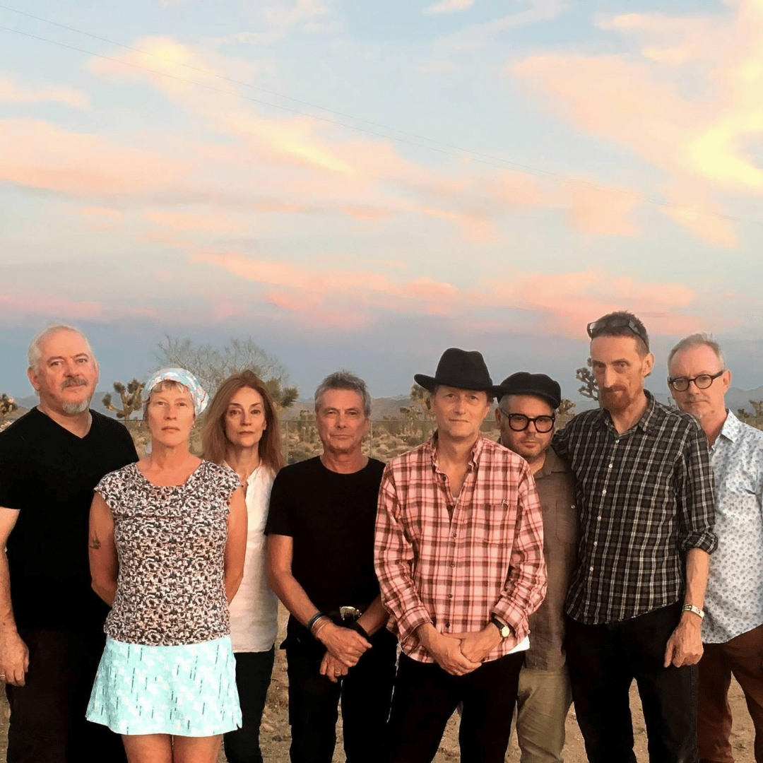 Mekons (unplugged) Live Aboard The Golden Hinde